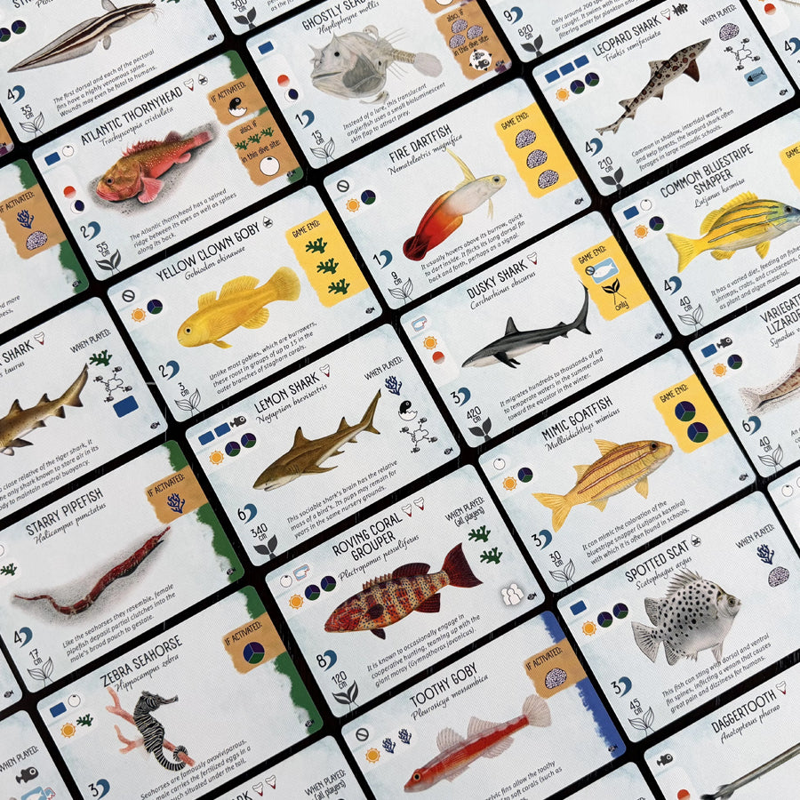 Finspan: Sharks and Reef Expansion