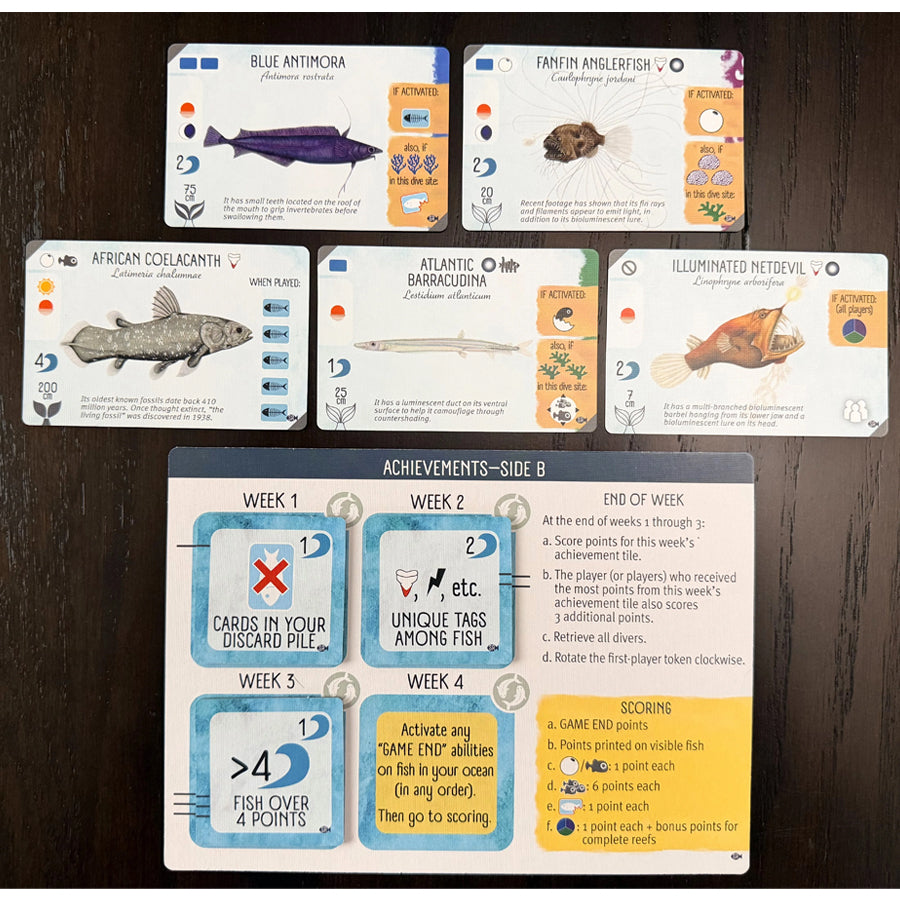 Finspan: Sharks and Reef Expansion